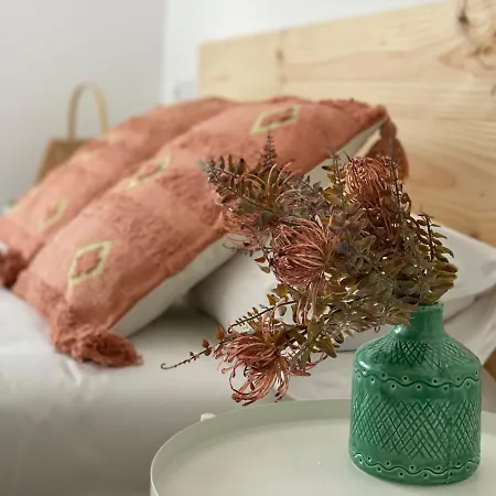 Housingleon- Camino De Santiago By Bike I Y Ii León