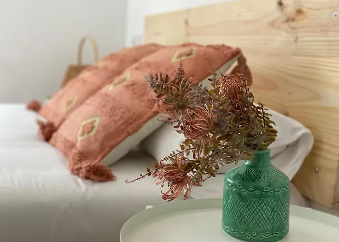 Housingleon- Camino De Santiago By Bike I Y Ii 莱昂